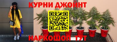 спиды Моздок