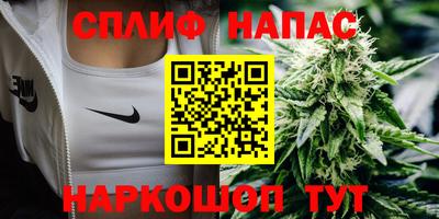 спиды Моздок