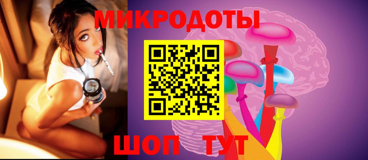 Галлюциногенные грибы Cubensis Тихорецк