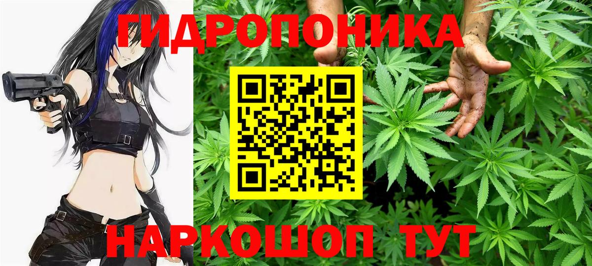 Тихорецк  Шишки марихуана VHQ  Канабис план  Вход с VPN  Шишки марихуана OG Kush 